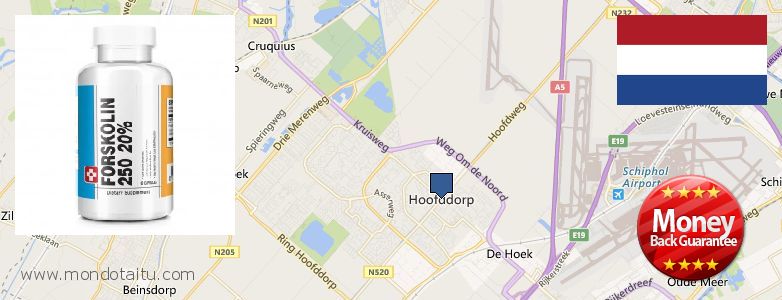 Waar te koop Forskolin online Hoofddorp, Netherlands