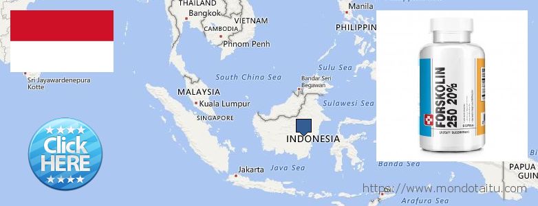 Dove acquistare Forskolin in linea Indonesia