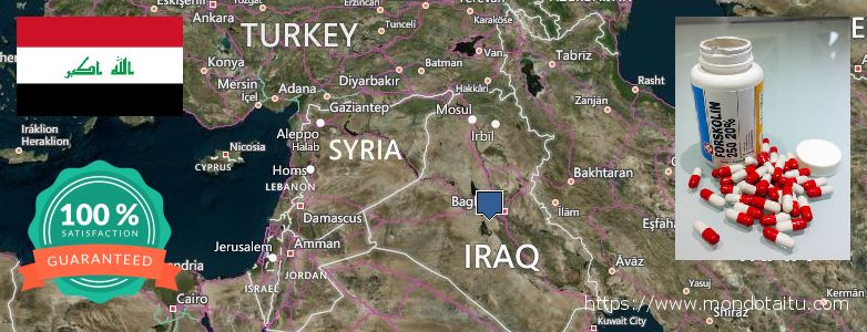 Dove acquistare Forskolin in linea Iraq