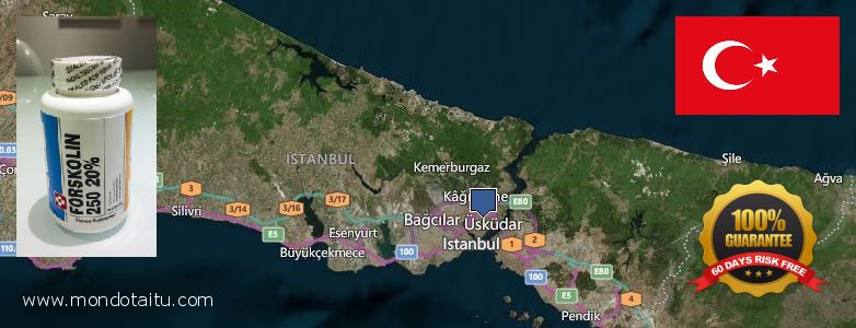 Where to Buy Forskolin Diet Pills online Istanbul, Turkey