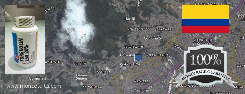 Dónde comprar Forskolin en linea Itagui, Colombia