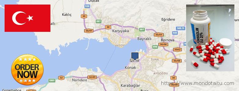 Where Can I Purchase Forskolin Diet Pills online Izmir, Turkey