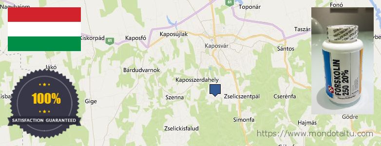 Where to Purchase Forskolin Diet Pills online Kaposvár, Hungary