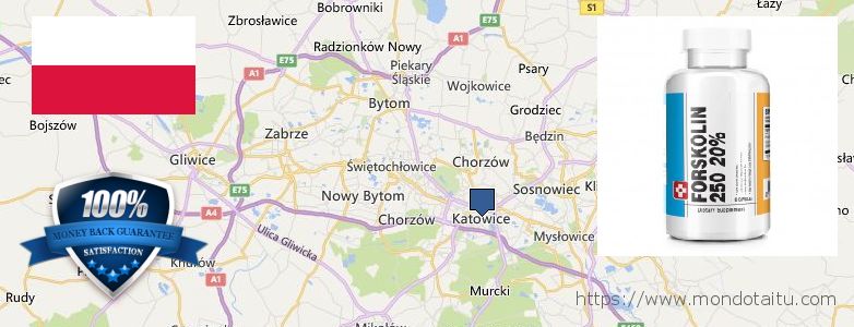Where to Purchase Forskolin Diet Pills online Katowice, Poland