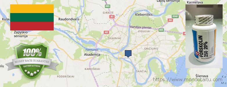 Where to Buy Forskolin Diet Pills online Kaunas, Lithuania