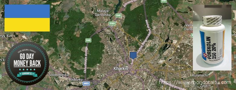 Wo kaufen Forskolin online Kharkiv, Ukraine