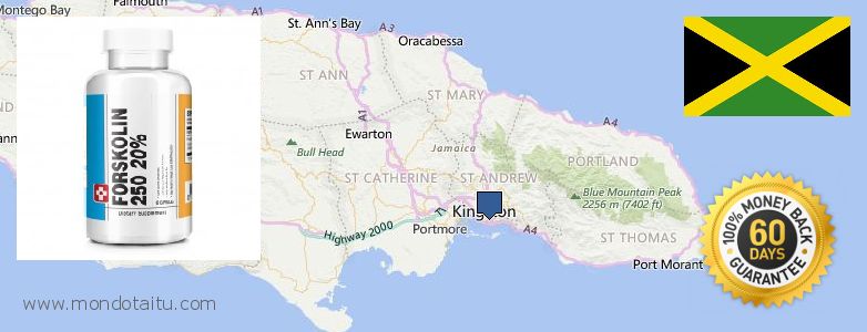 Where to Purchase Forskolin Diet Pills online Kingston, Jamaica