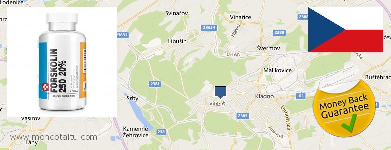Wo kaufen Forskolin online Kladno, Czech Republic
