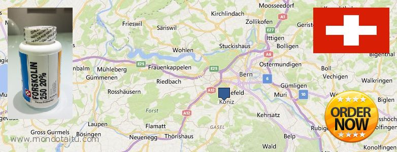 Dove acquistare Forskolin in linea Köniz, Switzerland