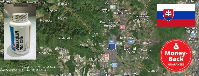 Where to Buy Forskolin Diet Pills online Kosice, Slovakia