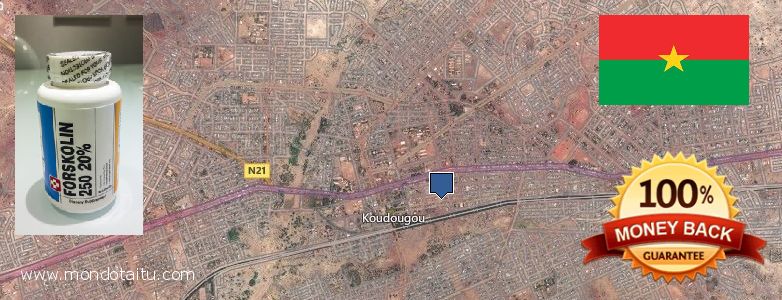 Where to Buy Forskolin Diet Pills online Koudougou, Burkina Faso