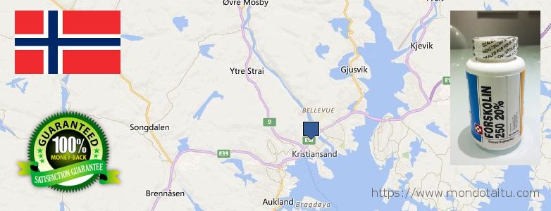 Where Can You Buy Forskolin Diet Pills online Kristiansand, Norway