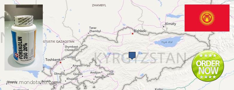 Dove acquistare Forskolin in linea Kyrgyzstan