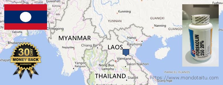 Where to Purchase Forskolin Diet Pills online Laos