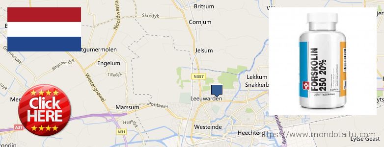 Where Can I Purchase Forskolin Diet Pills online Leeuwarden, Netherlands