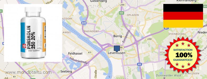 Wo kaufen Forskolin online Leverkusen, Germany
