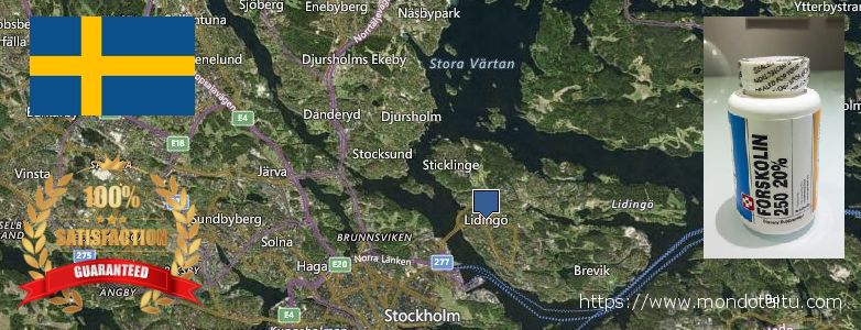 Where to Buy Forskolin Diet Pills online Lidingoe, Sweden