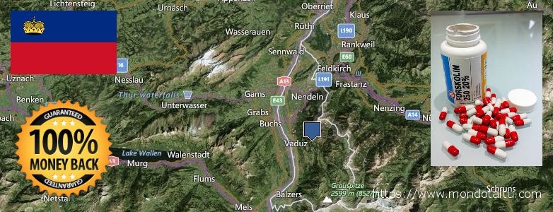 Best Place to Buy Forskolin Diet Pills online Liechtenstein