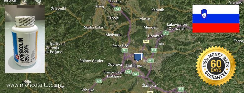 Dove acquistare Forskolin in linea Ljubljana, Slovenia