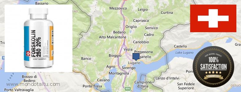 Dove acquistare Forskolin in linea Lugano, Switzerland