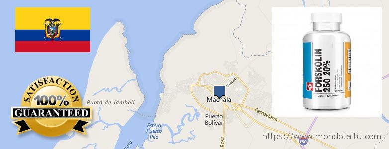 Where Can I Buy Forskolin Diet Pills online Machala, Ecuador