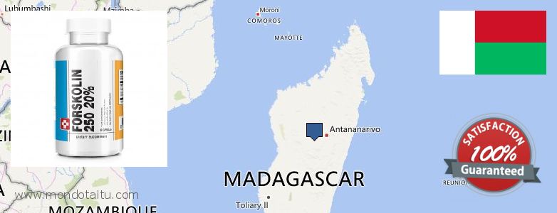 Purchase Forskolin Diet Pills online Madagascar Buy Forskolin Diet Pills online Madagascar