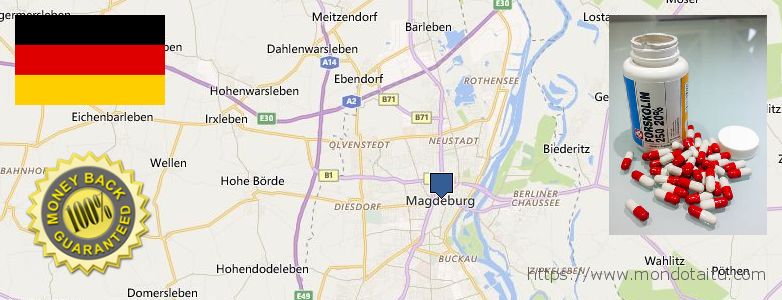 Where to Buy Forskolin Diet Pills online Magdeburg, Germany