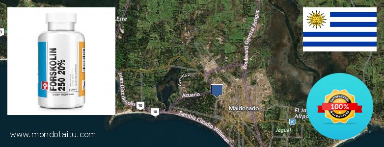 Where to Purchase Forskolin Diet Pills online Maldonado, Uruguay