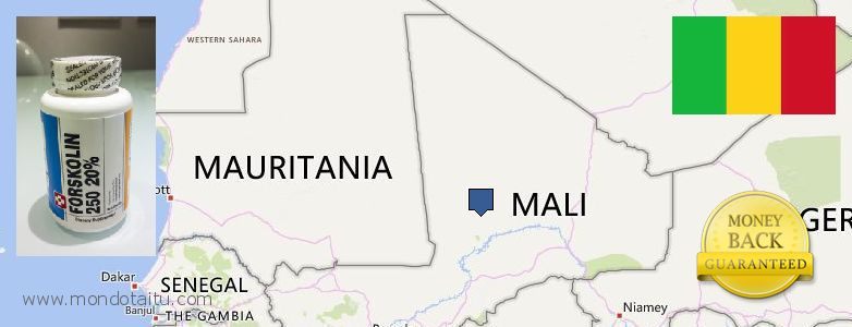 Where to Buy Forskolin Diet Pills online Mali
