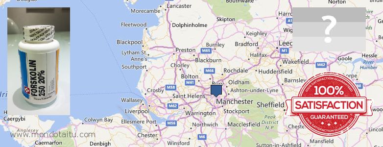 Where to Purchase Forskolin Diet Pills online Manchester, UK
