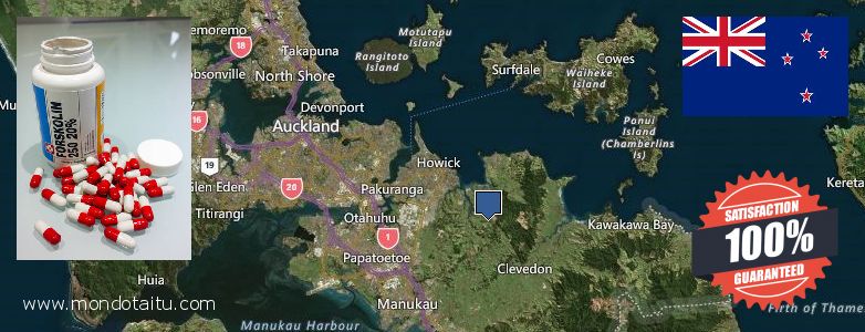 Where Can I Purchase Forskolin Diet Pills online Manukau City, New Zealand