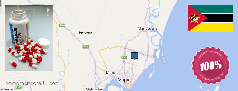 Onde Comprar Forskolin on-line Maputo, Mozambique