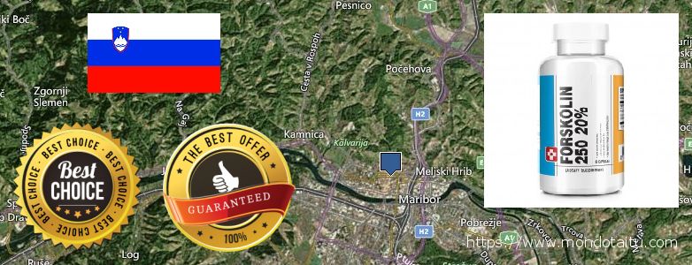Dove acquistare Forskolin in linea Maribor, Slovenia