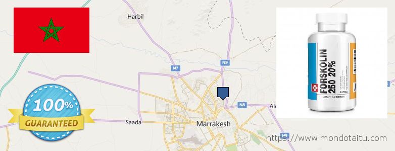 Where to Purchase Forskolin Diet Pills online Marrakesh, Morocco