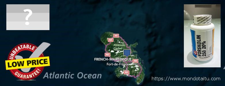 Purchase Forskolin Diet Pills online Martinique Where Can I Buy Forskolin Diet Pills online Martinique
