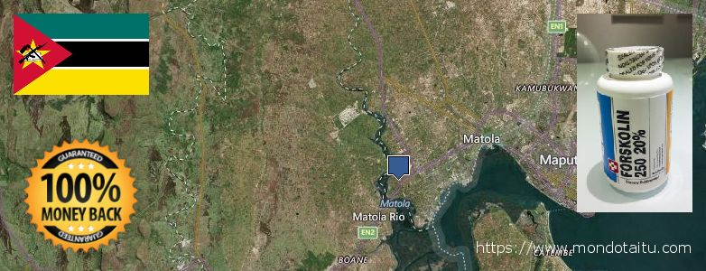 Onde Comprar Forskolin on-line Matola, Mozambique