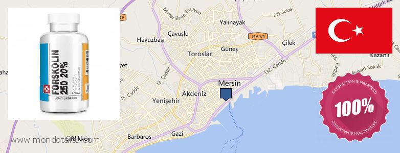 Where Can I Purchase Forskolin Diet Pills online Mercin, Turkey