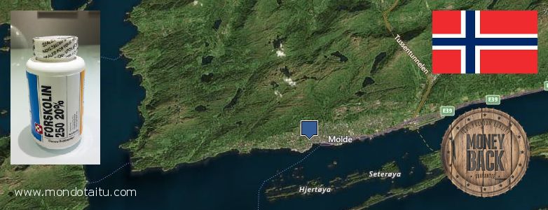 Where to Buy Forskolin Diet Pills online Molde, Norway