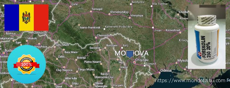 Where to Buy Forskolin Diet Pills online Moldova