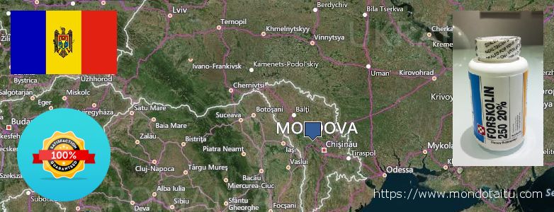 Purchase Forskolin Diet Pills online Moldova Where to Purchase Forskolin Diet Pills online Moldova