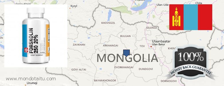 Dónde comprar Forskolin en linea Mongolia