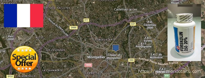 Où Acheter Forskolin en ligne Montpellier, France