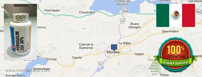 Where to Buy Forskolin Diet Pills online Morelia, Mexico