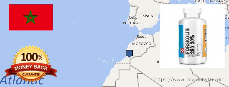 Where to Purchase Forskolin Diet Pills online Morocco