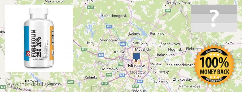 Wo kaufen Forskolin online Moscow, Russia