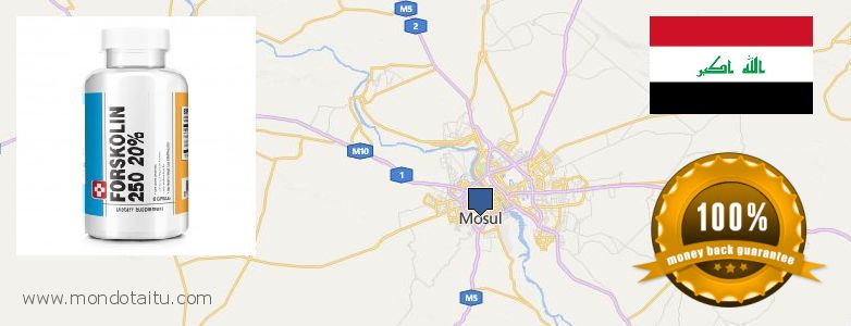Best Place to Buy Forskolin Diet Pills online Mosul, Iraq