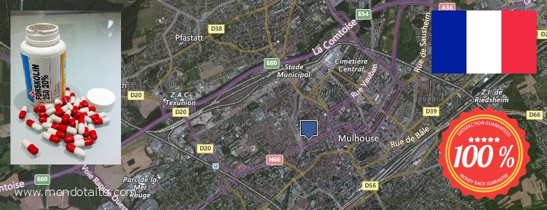 Où Acheter Forskolin en ligne Mulhouse, France