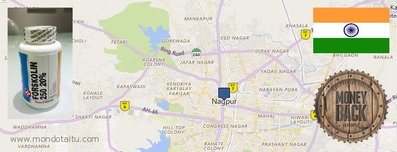Where to Purchase Forskolin Diet Pills online Nagpur, India