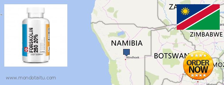 Where to Buy Forskolin Diet Pills online Namibia