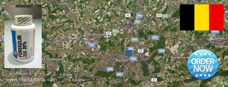 Wo kaufen Forskolin online Namur, Belgium